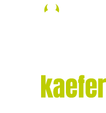 Fotokäfer by Noah Druschel